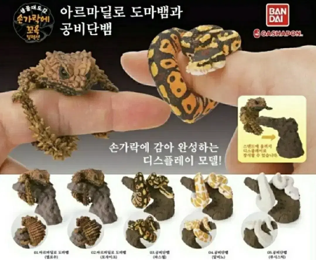 생물대도감 손가락에 꼬옥 갑옷 도마뱀과 공비단뱀 캡슐토이 갸차 뽑기 일본