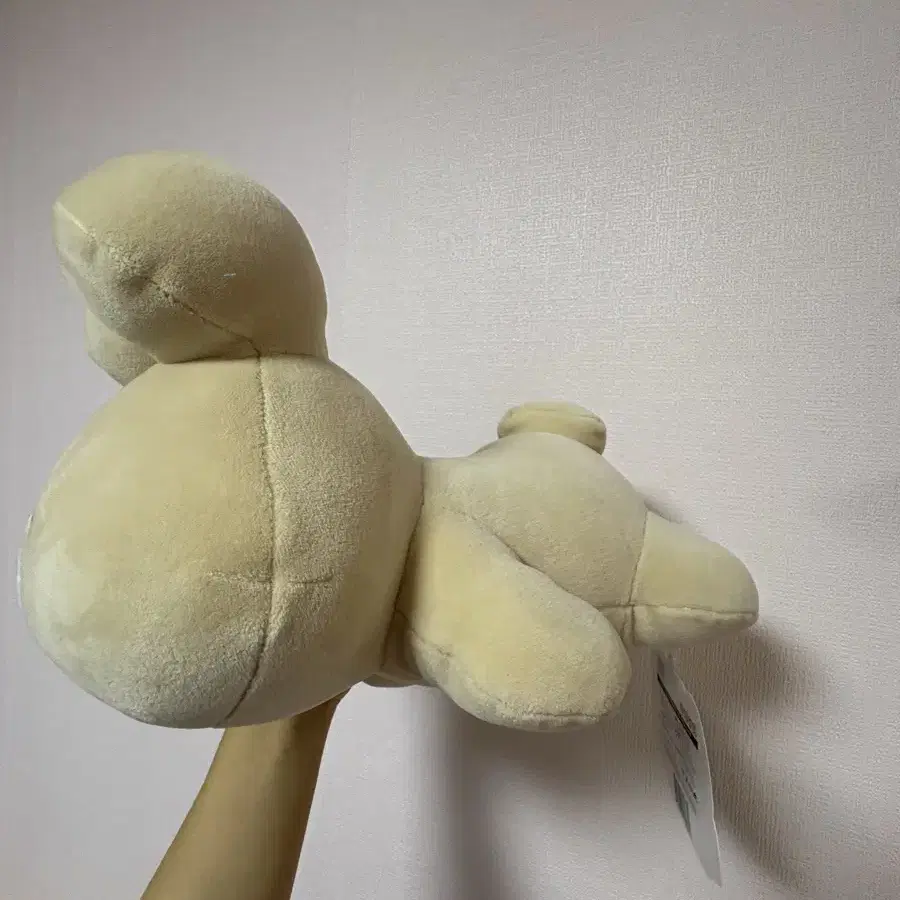 라잉토야(30cm) 인형 팝니다 !