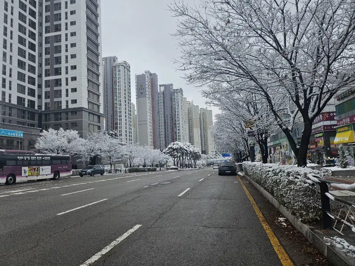 롯데월드 매직패스5회권 31일자팝니다