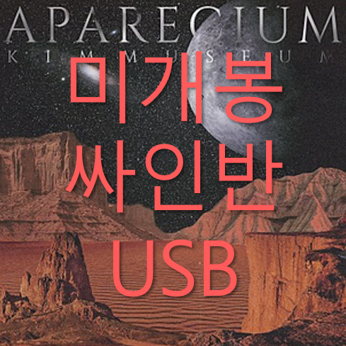 [미개봉 싸인반] 김뮤지엄 - APARECIUM (USB)