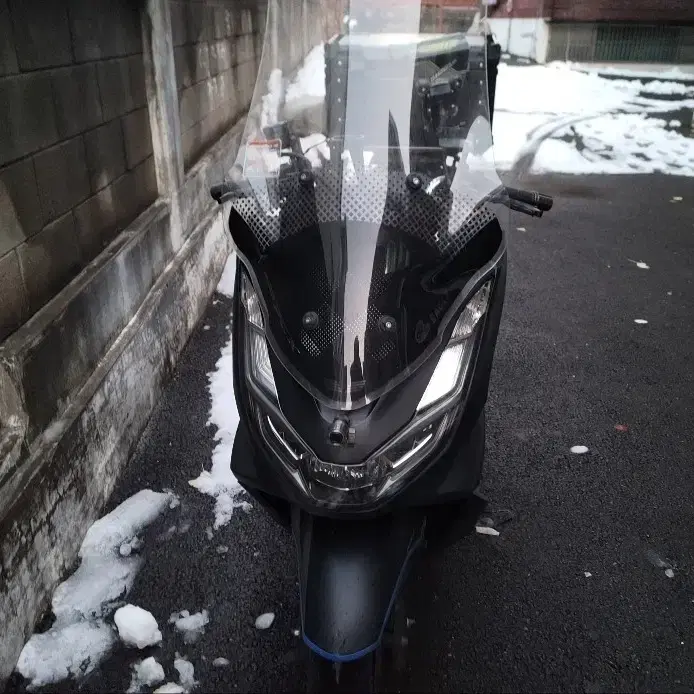 PCX 21년식 대차 구합니다