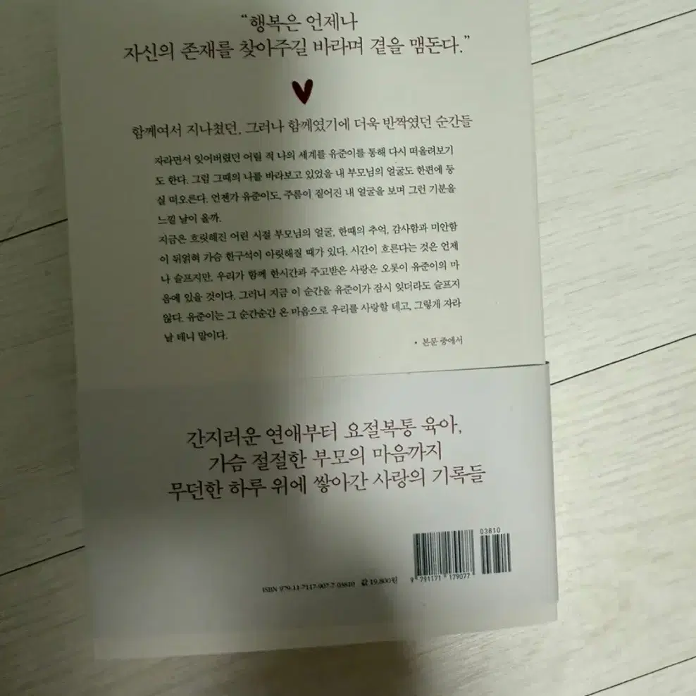 우리는 사랑 안에 살고있다    새 책 팔아요