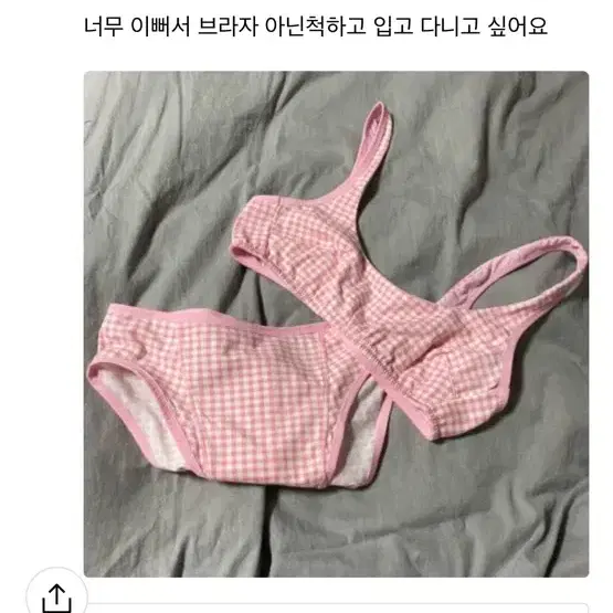 펠로아펠로 베이 팬티 브라