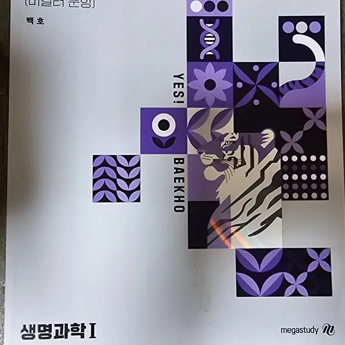 백호 개념형 모고 & 상크스