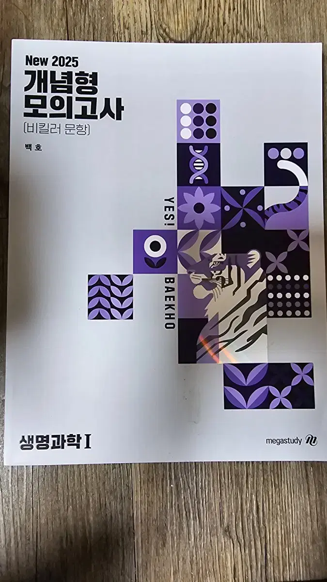 백호 개념형 모고 & 상크스