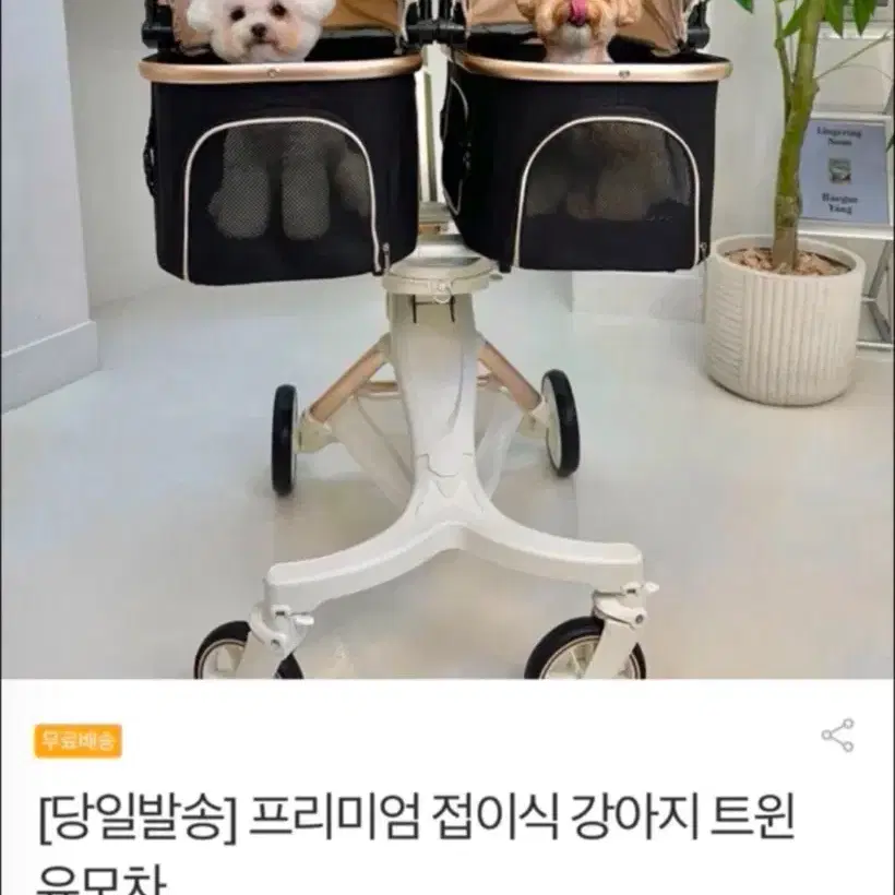 송편이네 접이식 강아지 트윈유모차