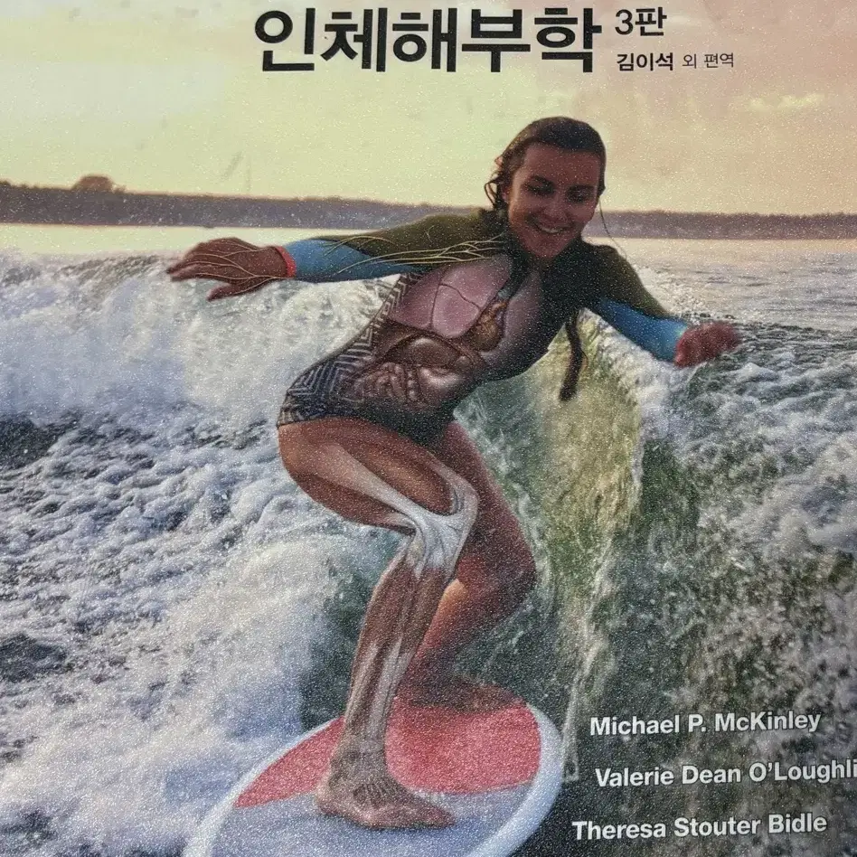 인체해부학 메디컬사이언스 김이석 간호학과 전공책