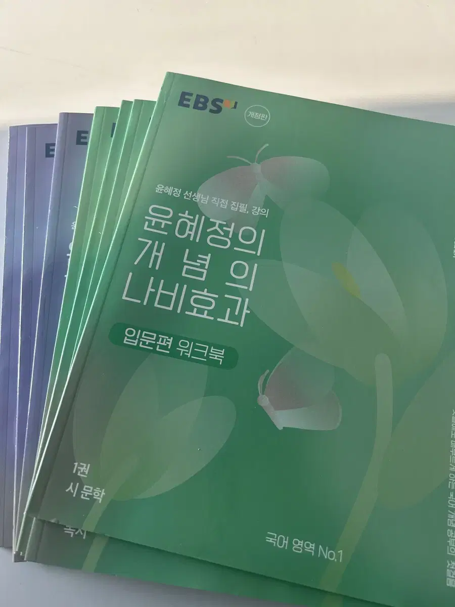 윤혜정 국어 개념의 나비효과 입문편 본책 워크북 일괄 판매 EBS