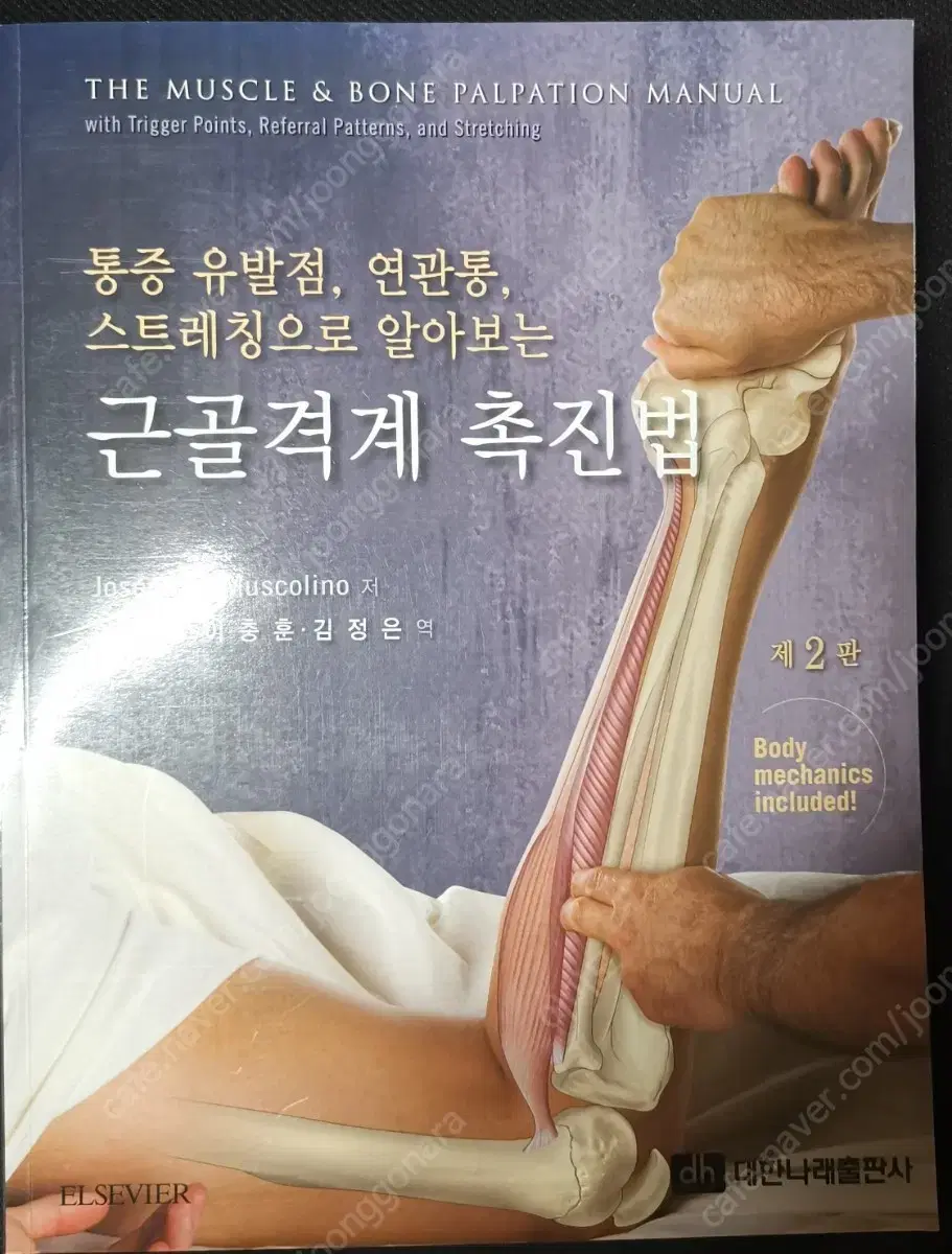 근골격계 촉진법 책