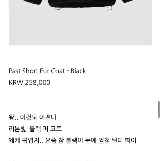 리본빗 퍼 past short fur coat 블랙