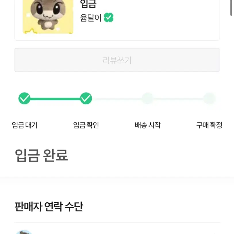 &team 앤팀 유마 윰달이 원가 양도