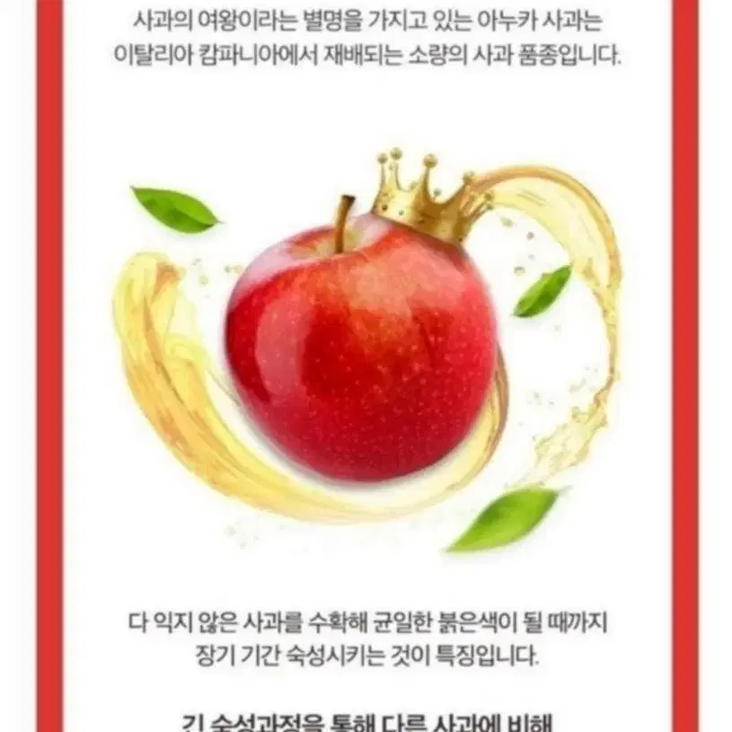 아누카사과추출분말