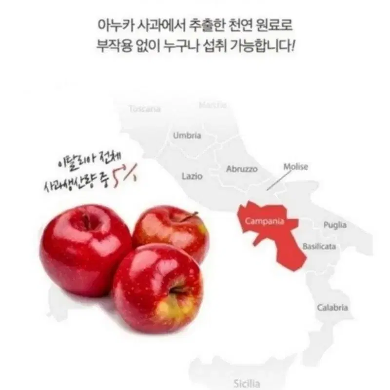 아누카사과추출분말