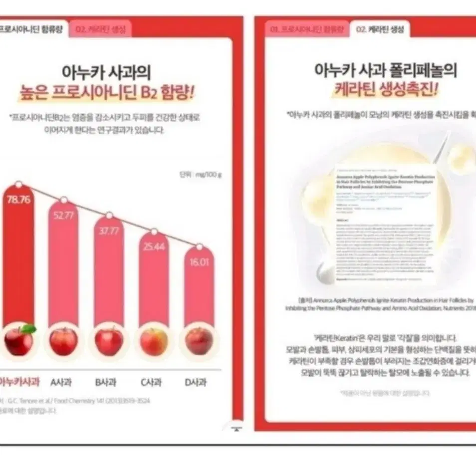 아누카사과추출분말