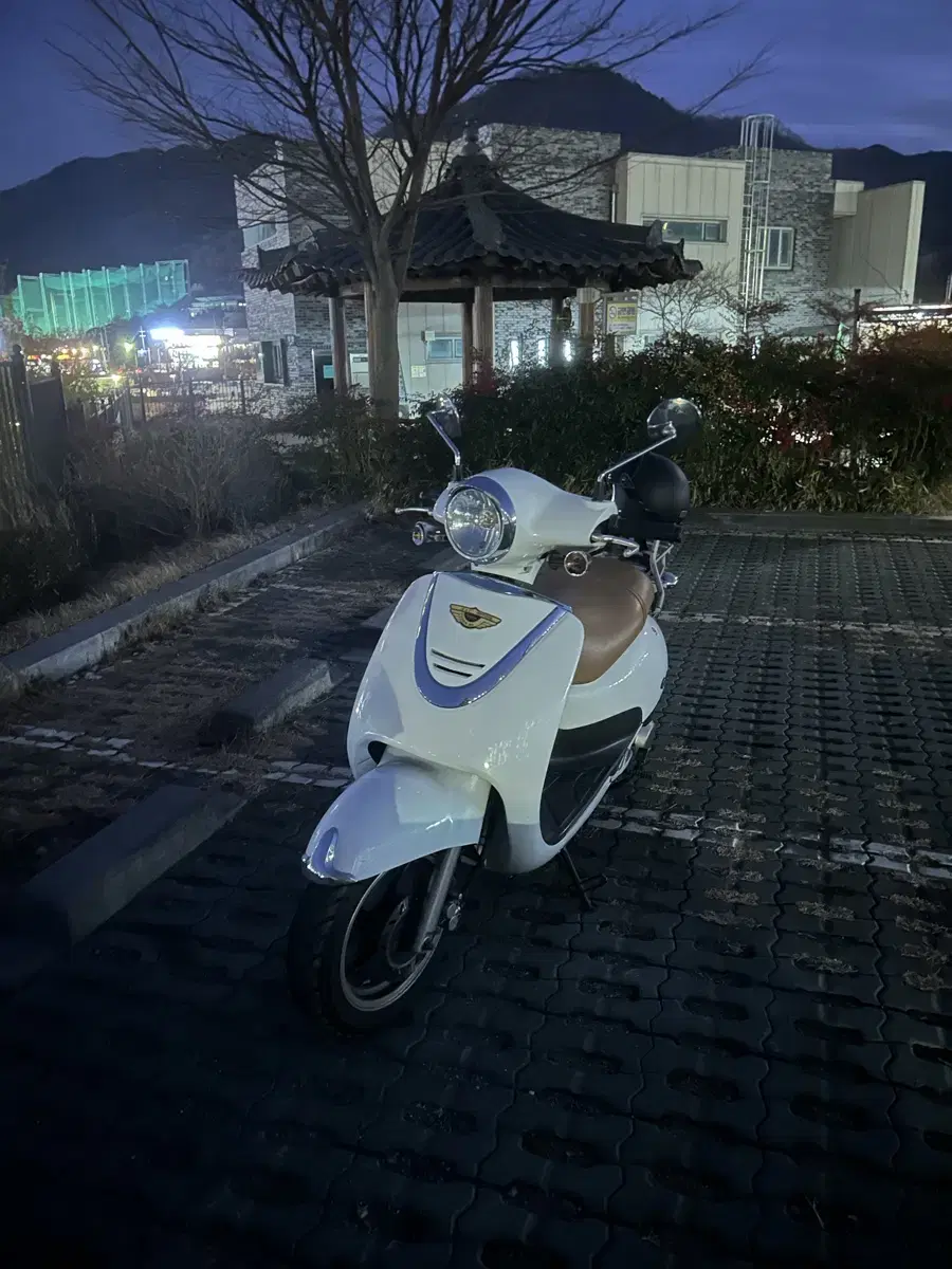 뉴카빙 125cc