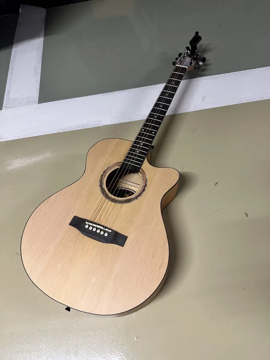 Acoustic guitar