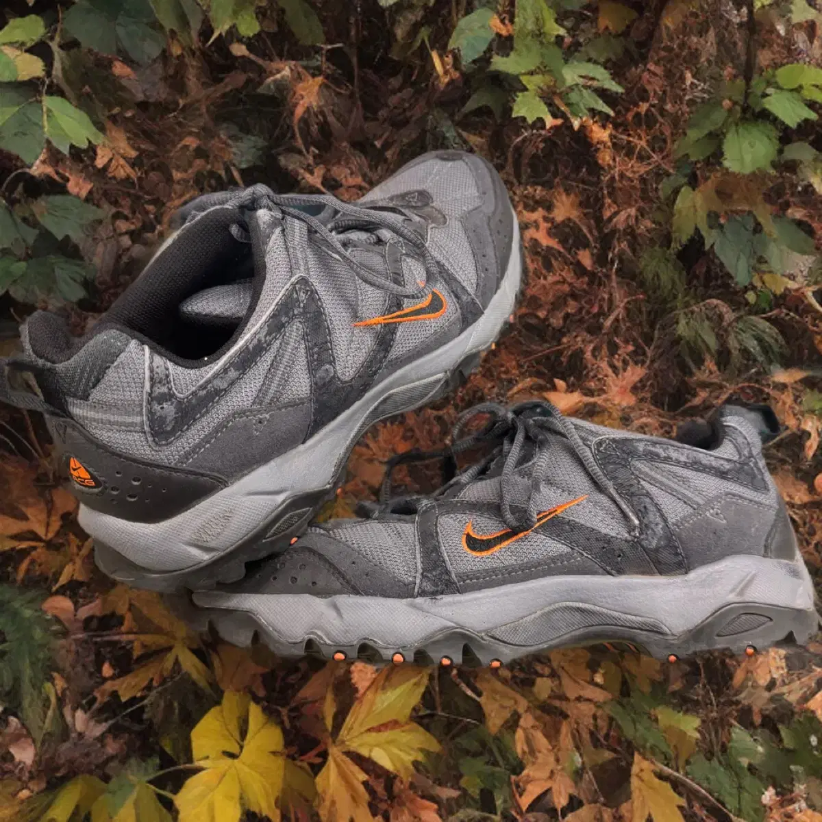 Acg Alltrack Trail Trekking Shoes (300)