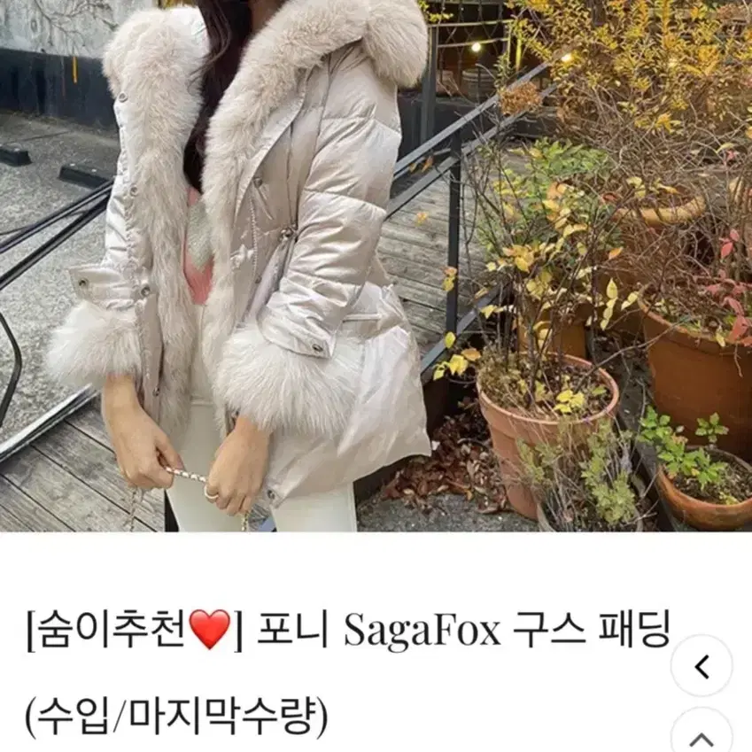 수입 헤이에스 사가폭스 글로시 패딩