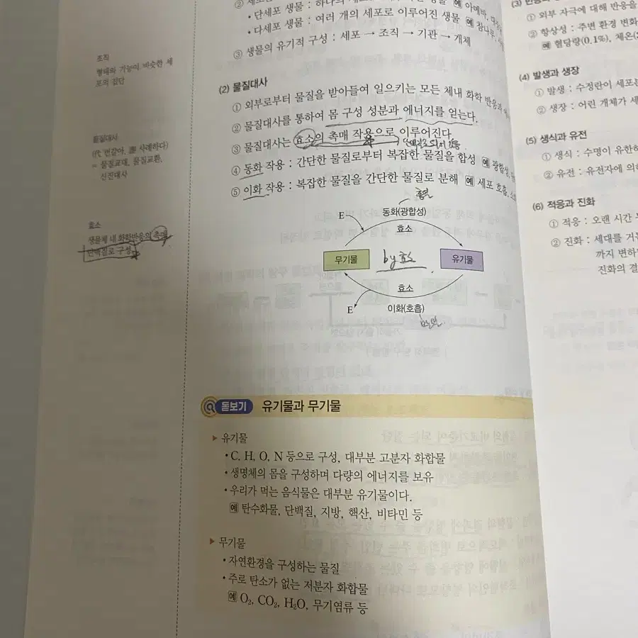 2025 수능 백호 생명과학(개념완성/서브노트/개념형 모의고사/수특수완)