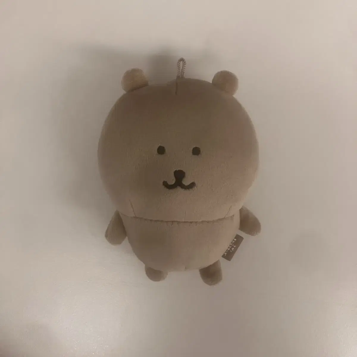 태닝곰