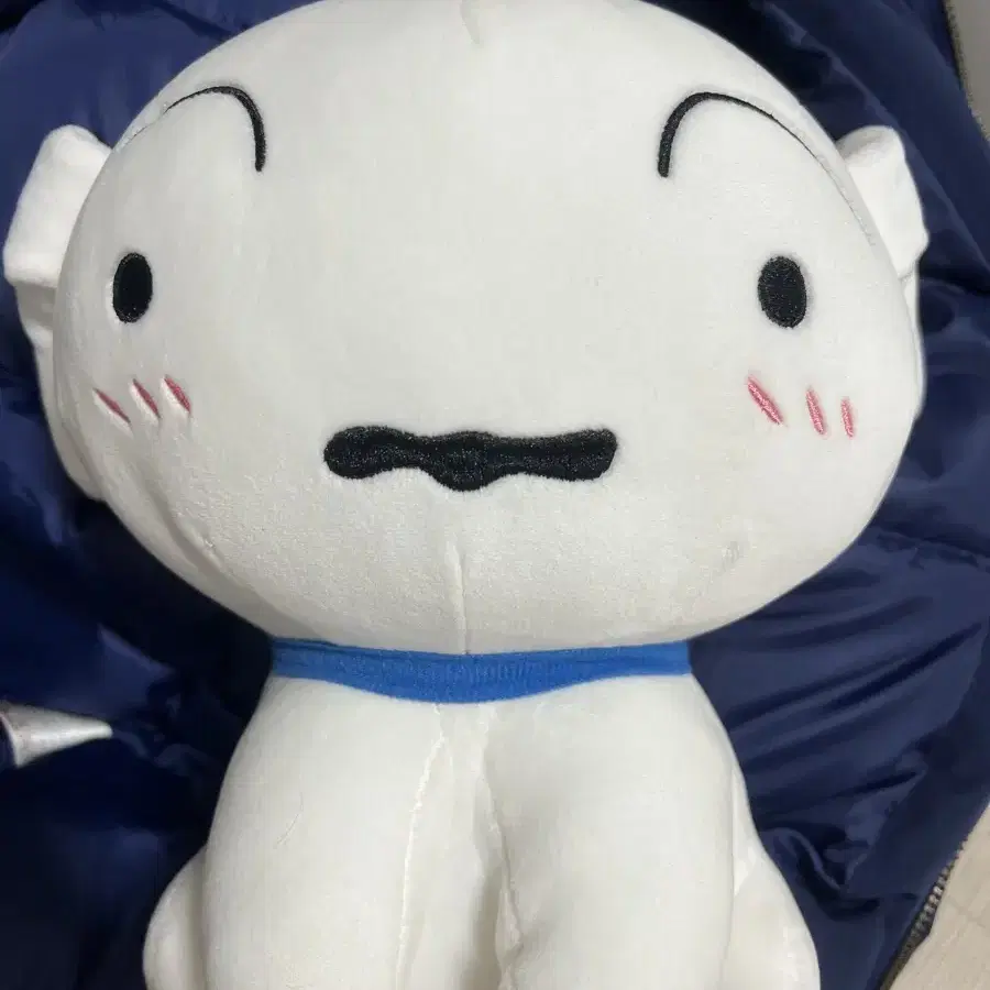 흰둥이 중형인형