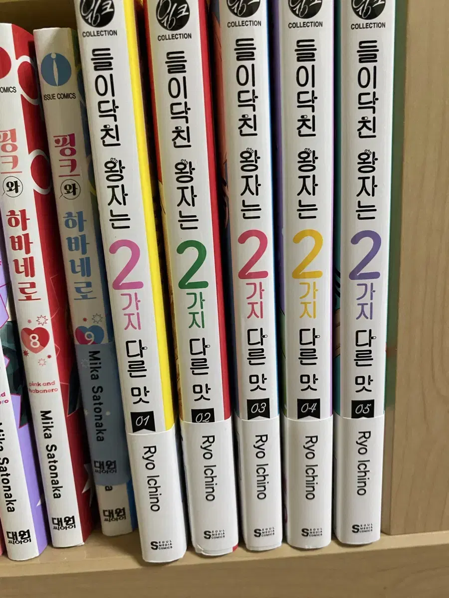 들이닥친 왕자는 2가지 다른 맛 1-5