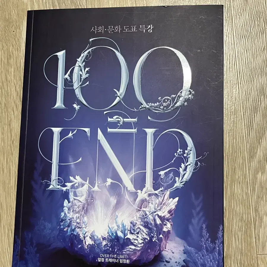 임정환 2025 사문 도표특강 100=END