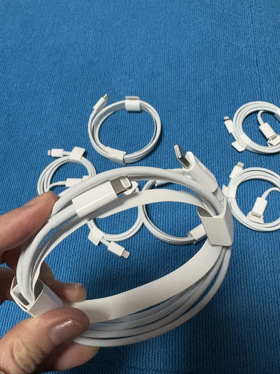 Original Apple charger 8-pin charging cable