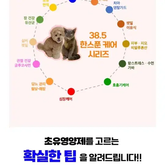 반려묘/ 38.5 초유한스푼 120g