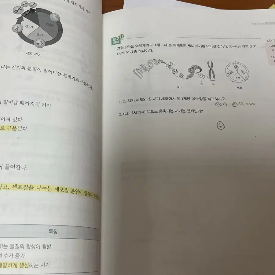 거의 새책) 한종철 철두철미 개념의 완성 철철로직