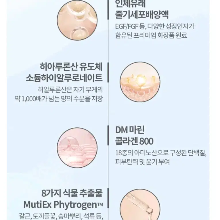 세피에 기적크림 동안크림 한강크림 새제품