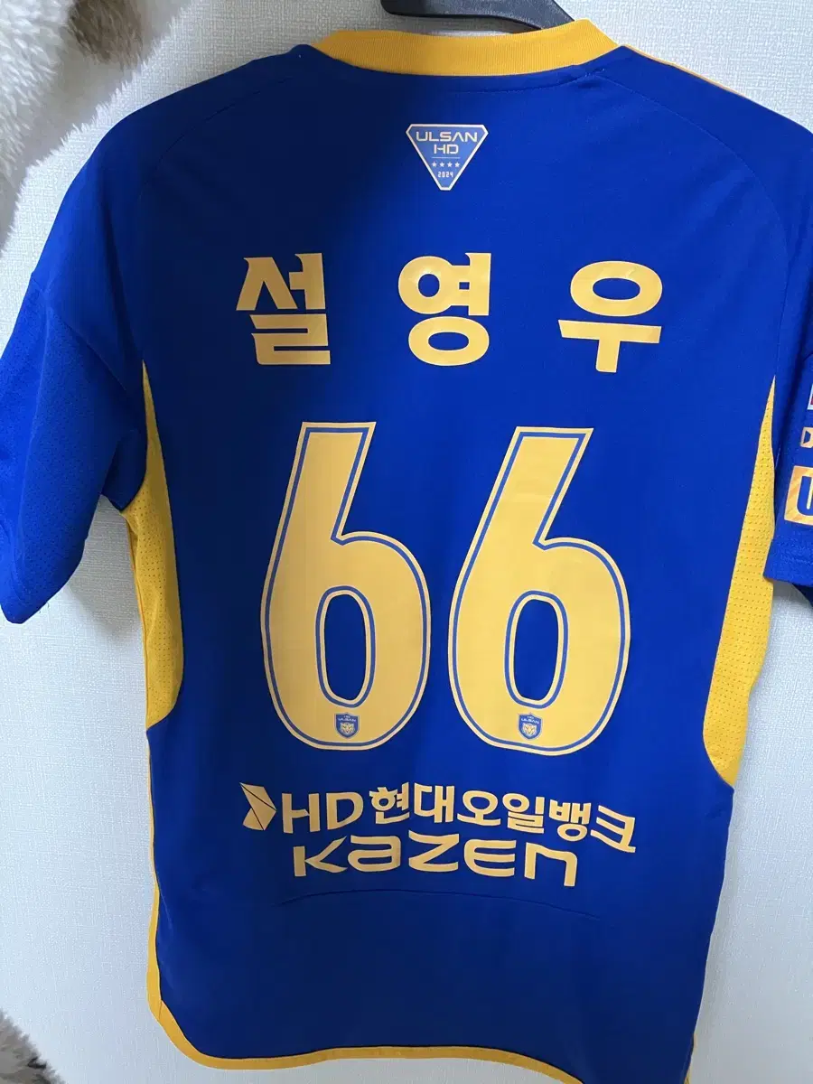 Ulsan Hyundai Seol Young-woo Jersey XS