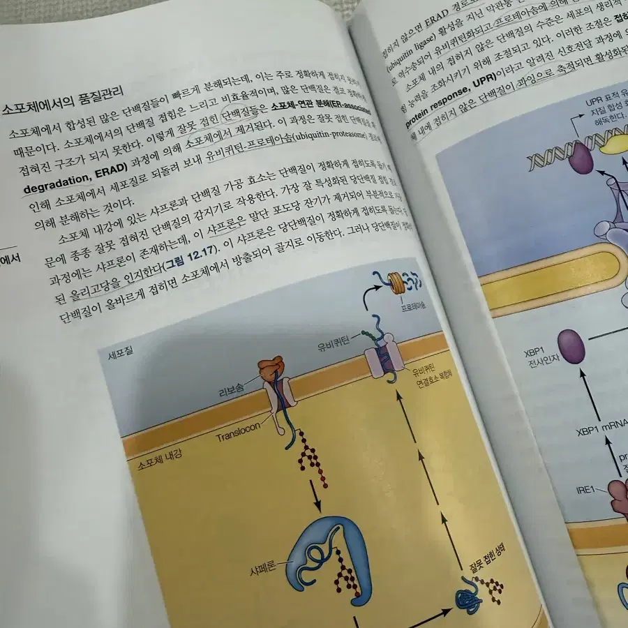 세포학 발생학 전공책