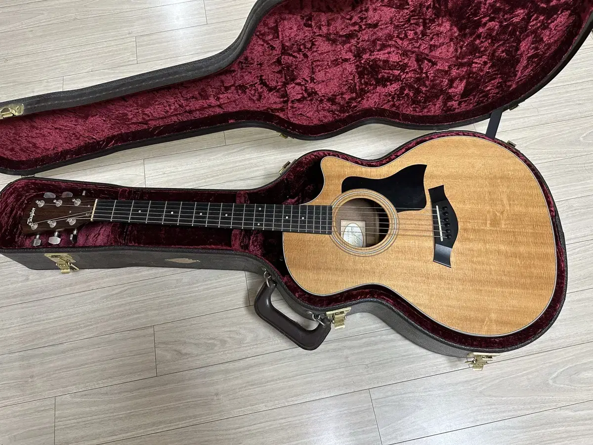 Taylor 314ce + Monocase