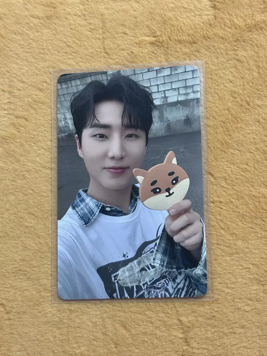 Day 6 Young K Sunscreen photocard wts Denny's pop up MD