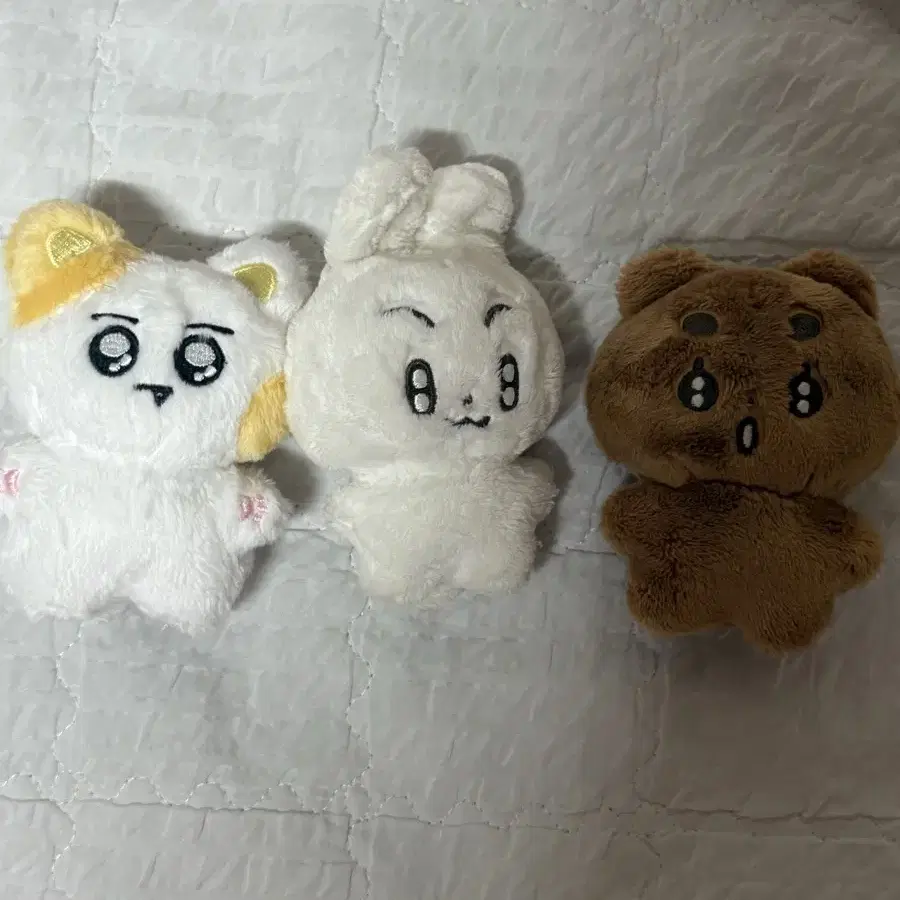 투바투 10cm 인형 뽀바투 말랑빈 뽀송밤 깡냥이