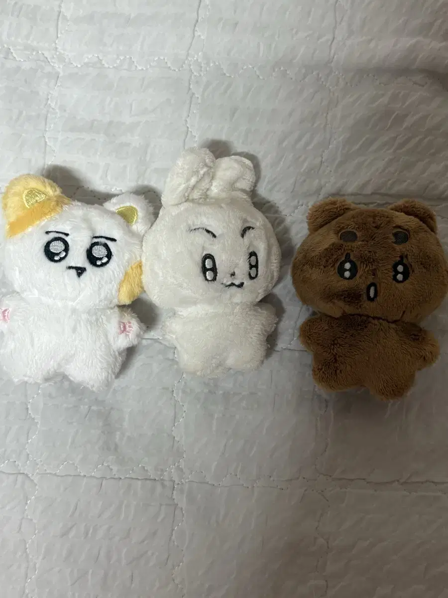 투바투 10cm 인형 뽀바투 말랑빈 뽀송밤 깡냥이