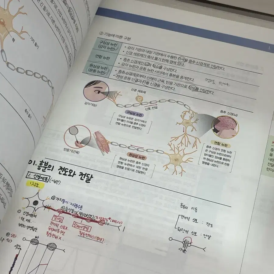 2024 박지향T 고등개념서