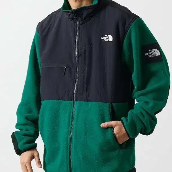 노스페이스 JAPAN DENALI JACKET