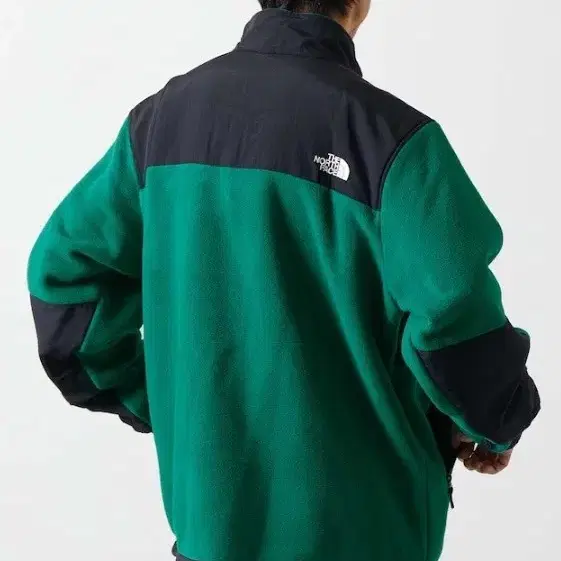 노스페이스 JAPAN DENALI JACKET