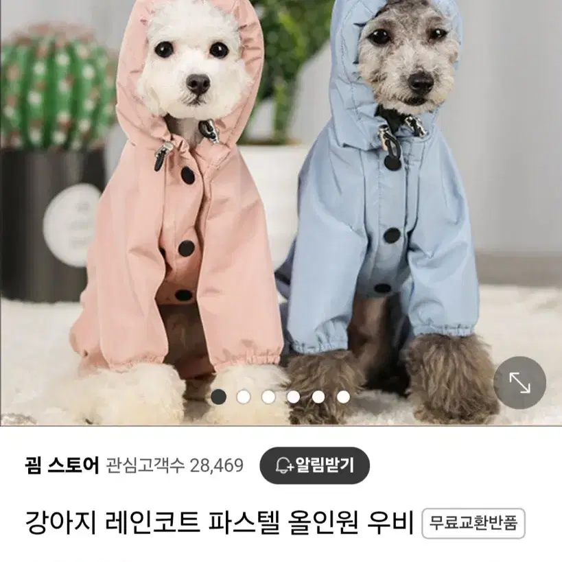 애견의류 레인코트 우비 강아지 비옷 2xl