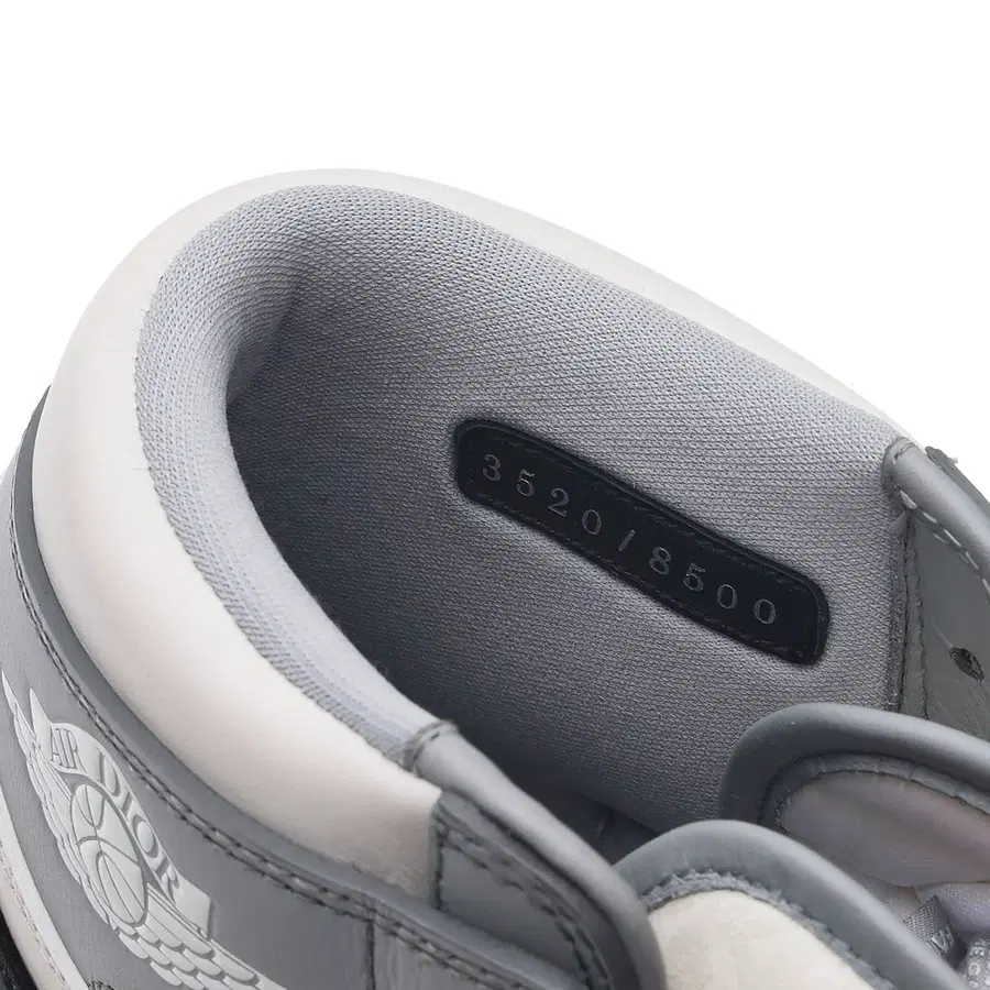 Air Jordan 1 x Dior High OG