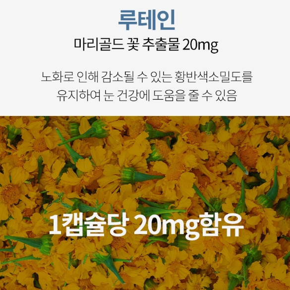 명절선물 [코오롱제약] 눈건강플러스간건강 500mg x 60캡슐