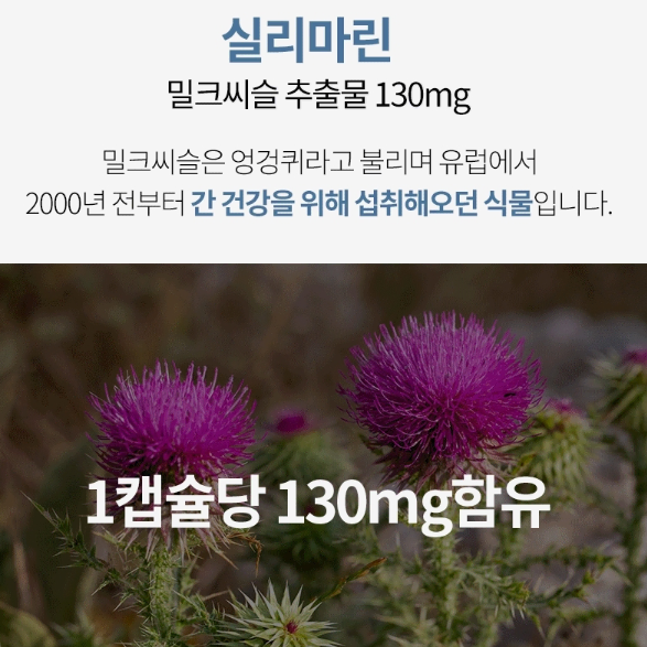 명절선물 [코오롱제약] 눈건강플러스간건강 500mg x 60캡슐