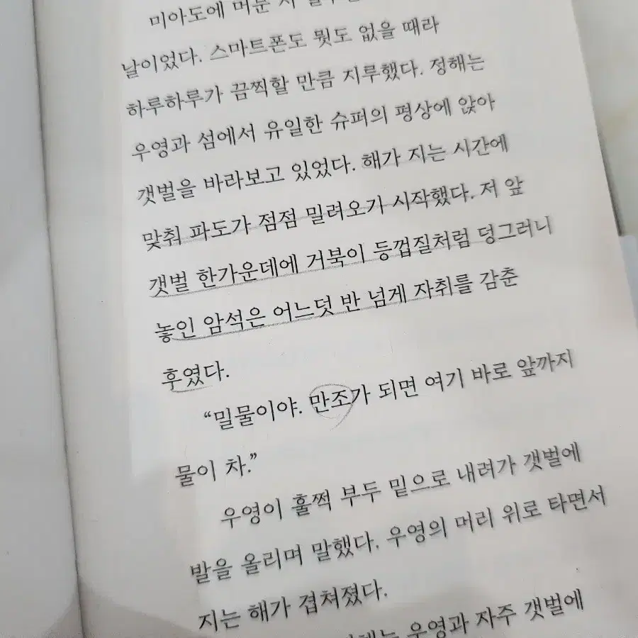 조예은) 만조를기다리며, 입속지느러미, 적산가옥