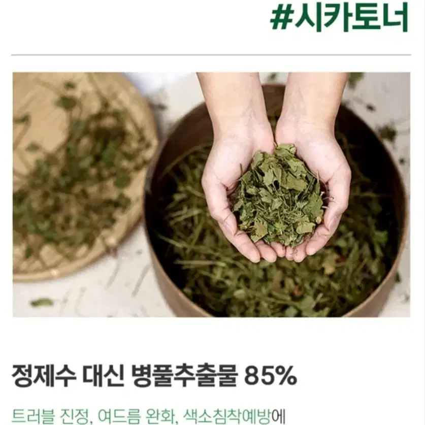 릴렉싱 시카 토너