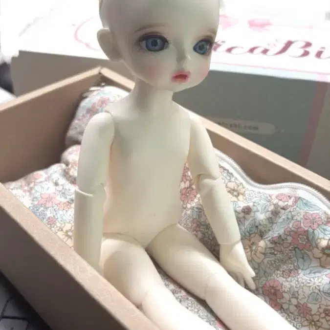 치카비 구관 구관인형 밀크 베키 bjd