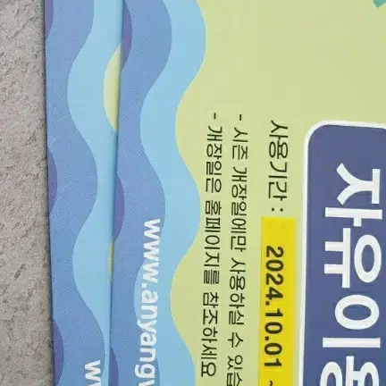 안양워터랜드 자유이용권 2장