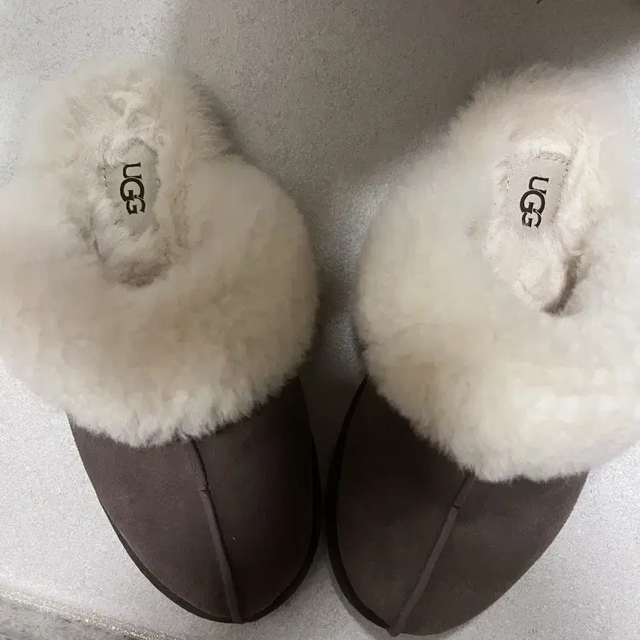 실착5회미만 미국 어그 ugg 스커페트 에스프레소 220 어그슬리퍼