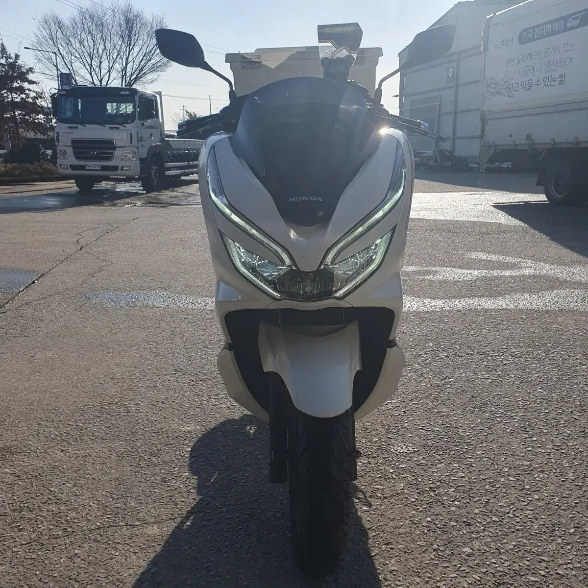 더뉴pcx125cc (nmax125 벤리110 포르자300